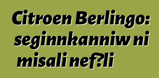 Citroen Berlingo: seginnkanniw ni misali ɲɛfɔli