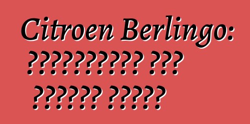 Citroen Berlingo: পর্যালোচনা এবং মডেলের বিবরণ