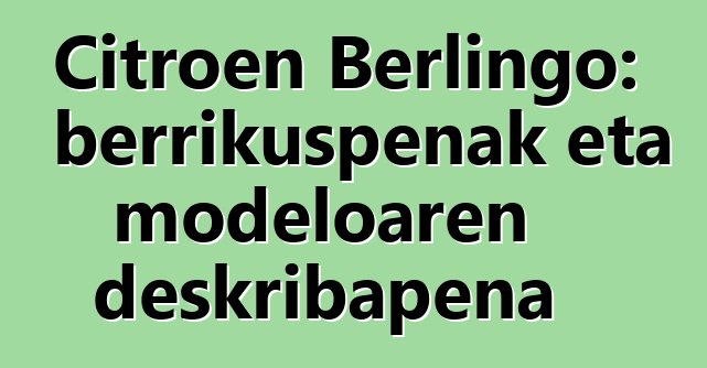 Citroen Berlingo: berrikuspenak eta modeloaren deskribapena