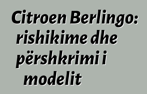 Citroen Berlingo: rishikime dhe përshkrimi i modelit