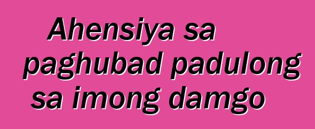 Ahensiya sa paghubad padulong sa imong damgo