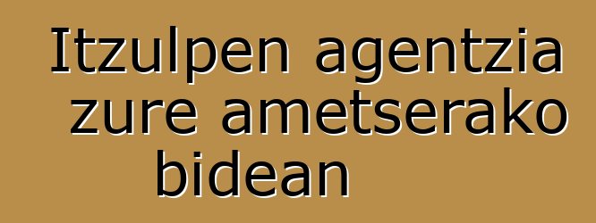 Itzulpen agentzia zure ametserako bidean