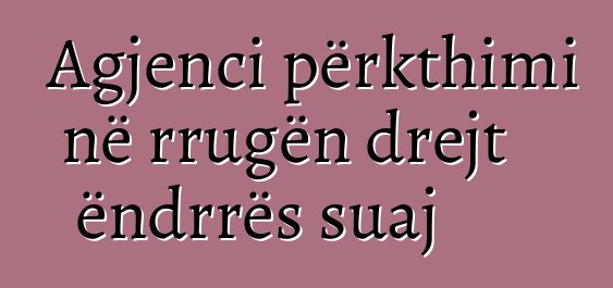 Agjenci përkthimi në rrugën drejt ëndrrës suaj