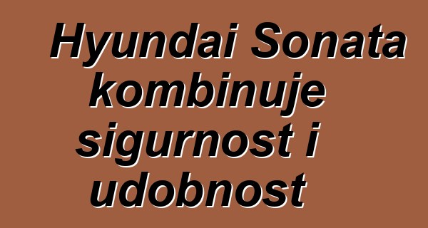 Hyundai Sonata kombinuje sigurnost i udobnost