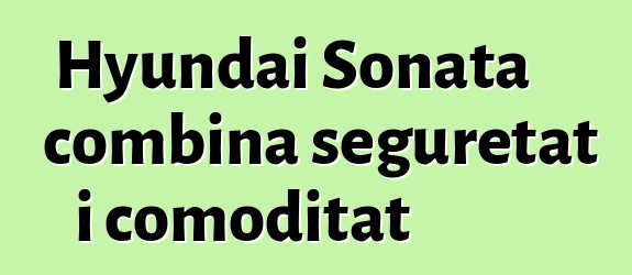 Hyundai Sonata combina seguretat i comoditat