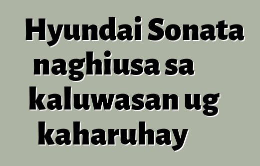 Hyundai Sonata naghiusa sa kaluwasan ug kaharuhay