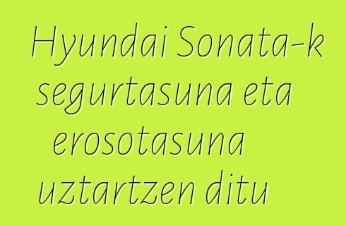 Hyundai Sonata-k segurtasuna eta erosotasuna uztartzen ditu