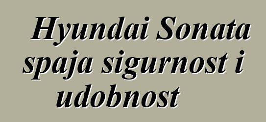 Hyundai Sonata spaja sigurnost i udobnost