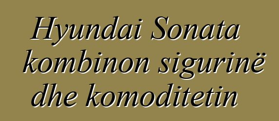 Hyundai Sonata kombinon sigurinë dhe komoditetin
