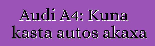 Audi A4: Kuna kasta autos akaxa