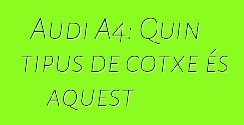 Audi A4: Quin tipus de cotxe és aquest