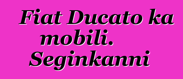 Fiat Ducato ka mobili. Seginkanni