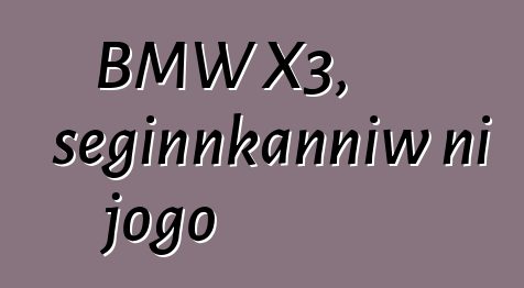 BMW X3, seginnkanniw ni jogo