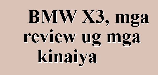 BMW X3, mga review ug mga kinaiya