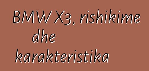 BMW X3, rishikime dhe karakteristika