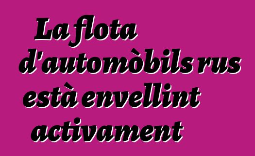 La flota d'automòbils rus està envellint activament