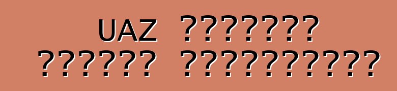 UAZ হান্টার গাড়ি। পর্যালোচনা