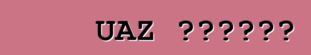 UAZ 獵人車。評論