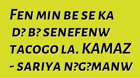 Fɛn min bɛ se ka dɔ bɔ sɛnɛfɛnw tacogo la. KAMAZ - sariya nɔgɔmanw