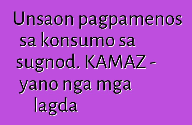 Unsaon pagpamenos sa konsumo sa sugnod. KAMAZ - yano nga mga lagda