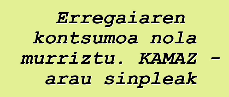 Erregaiaren kontsumoa nola murriztu. KAMAZ - arau sinpleak