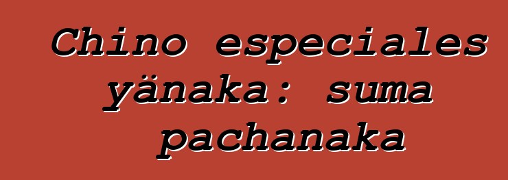 Chino especiales yänaka: suma pachanaka