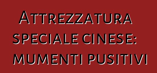 Attrezzatura speciale cinese: mumenti pusitivi