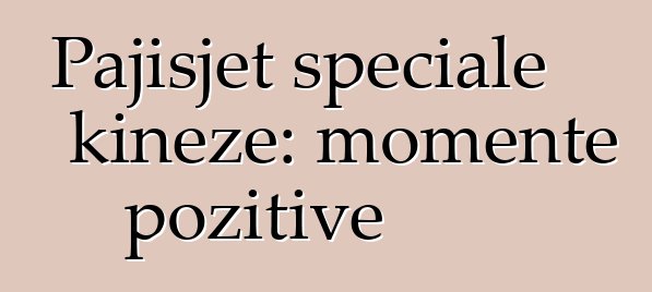 Pajisjet speciale kineze: momente pozitive