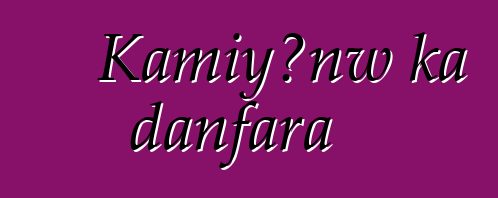 Kamiyɔnw ka danfara