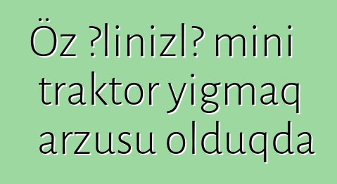 Öz əlinizlə mini traktor yığmaq arzusu olduqda