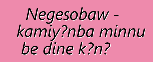 Nɛgɛsobaw - kamiyɔnba minnu bɛ diɲɛ kɔnɔ