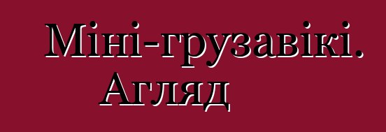 Міні-грузавікі. Агляд