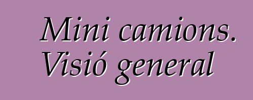 Mini camions. Visió general