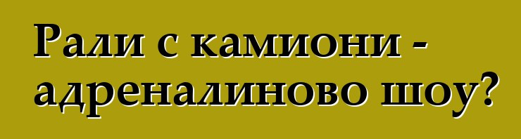 Рали с камиони - адреналиново шоу?