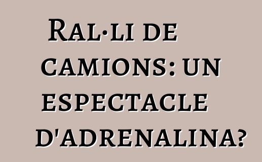 Ral·li de camions: un espectacle d'adrenalina?