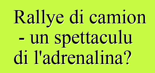 Rallye di camion - un spettaculu di l'adrenalina?