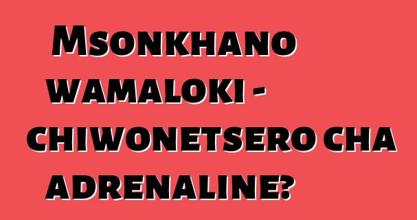 Msonkhano wamaloki - chiwonetsero cha adrenaline?