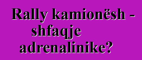 Rally kamionësh - shfaqje adrenalinike?