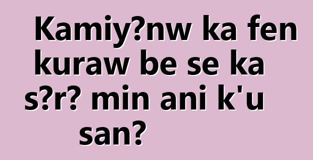Kamiyɔnw ka fɛn kuraw bɛ se ka sɔrɔ min ani k’u san?