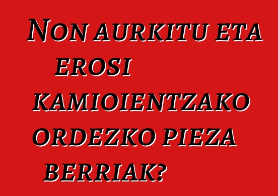 Non aurkitu eta erosi kamioientzako ordezko pieza berriak?