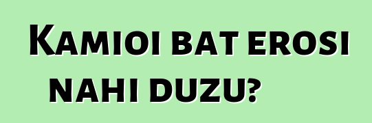Kamioi bat erosi nahi duzu?