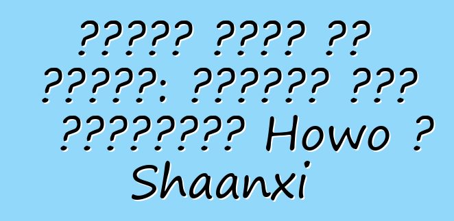 معدات خاصة من الصين: شاحنات خلط الخرسانة Howo و Shaanxi