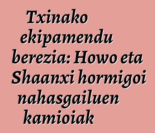 Txinako ekipamendu berezia: Howo eta Shaanxi hormigoi nahasgailuen kamioiak