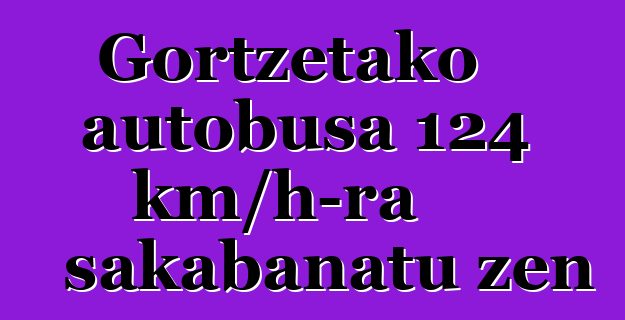 Gortzetako autobusa 124 km/h-ra sakabanatu zen