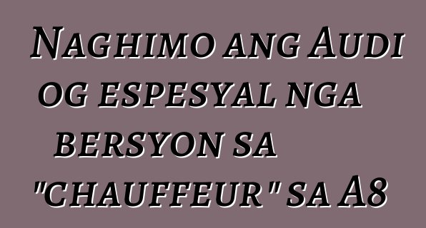 Naghimo ang Audi og espesyal nga bersyon sa "chauffeur" sa A8