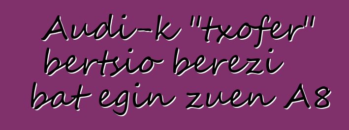 Audi-k "txofer" bertsio berezi bat egin zuen A8