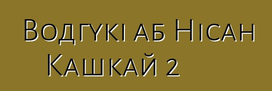Водгукі аб Нісан Кашкай 2