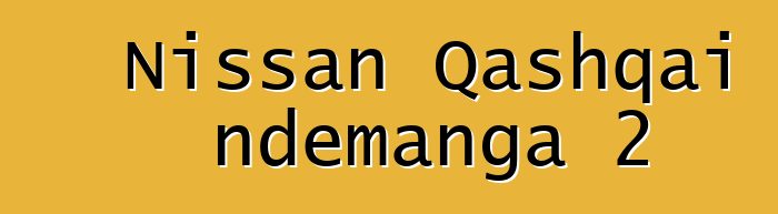 Nissan Qashqai ndemanga 2