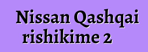 Nissan Qashqai rishikime 2