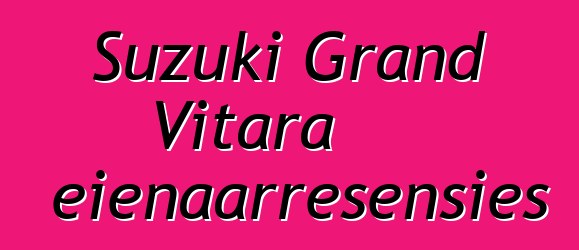 Suzuki Grand Vitara eienaarresensies